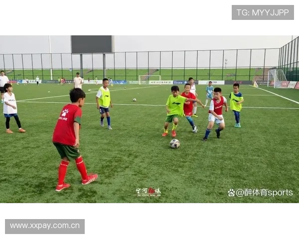 体育公园足球联赛（体育公园开放）sports